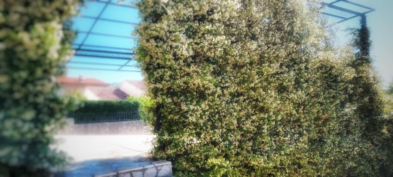 Apartmani Tomislav Krk Town Buitenkant foto